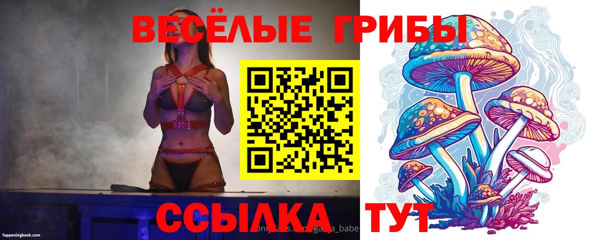 Галлюциногенные грибы прущие грибы Артёмовский